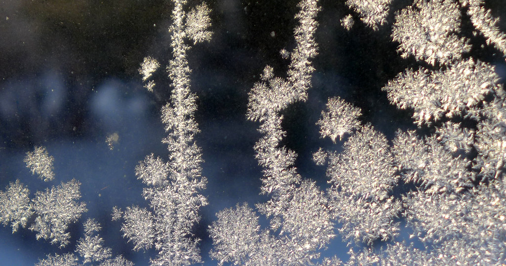 Cold Weather Gardening