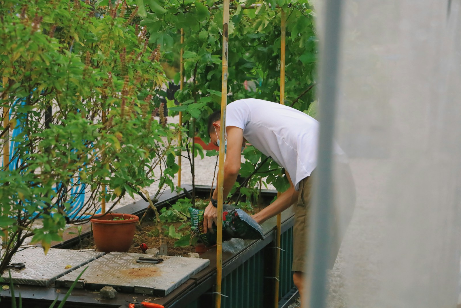 Getting Started with Urban Farming